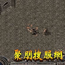紫ƵĵӾ